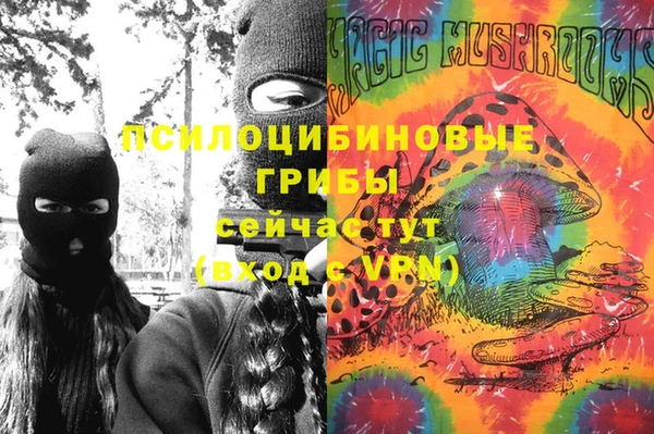 эйфоретик Заволжье