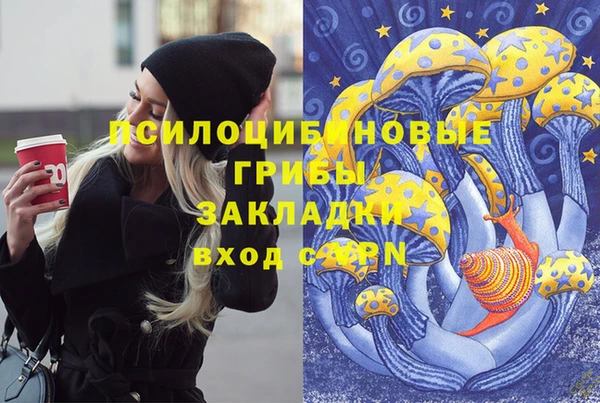 бошки Зеленокумск