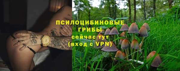 мескалин Заводоуковск
